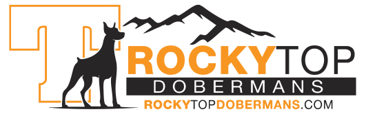 RockyTopDobermans.com